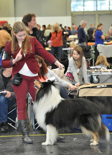 Dankeschön an Nicole Wienroth für das tolle Foto !