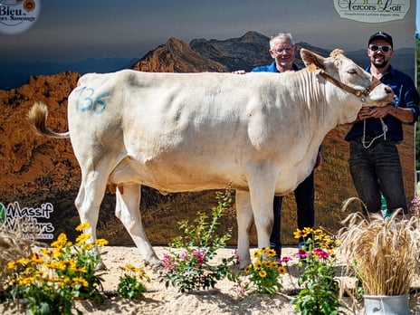 ROCKWELLE (Pinson) Grande championne du National 2023