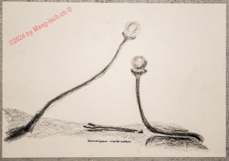 Gemeinsam weiterziehen. Fremde Unterstützung, symbolisch die Krücke, ist nicht mehr notwendig.