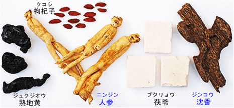 瓊玉膏（けいぎょくこう）構成生薬　熟地黄　人参　茯苓　沈香