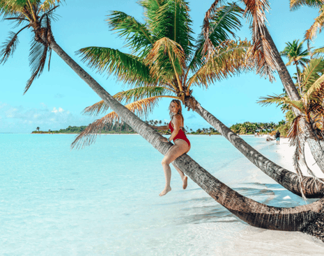 Avis Poe Charter Tetiaroa excursion à la journée, Day trip to Marlon Brando Island from Papeete Tahiti, snorkeling lagon Tahiti reservation en ligne