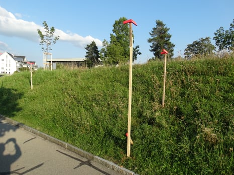 (Bild: buebikernewsI