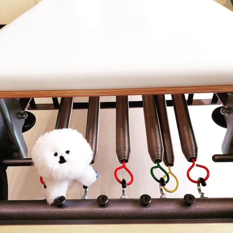 doux pilates studio のマスコットのドゥーくん