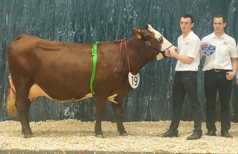 PROMESSE (Mojito x Bob)- Meilleure mamelle jeune à Paris 2024 - 