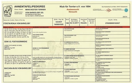 Ahnentafel: Fürstin Ronja von Barkelsby