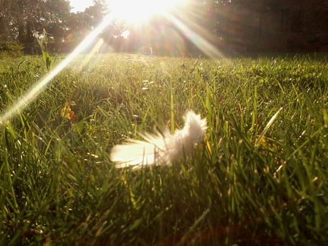 photo Isabelle Bouchex 22 oct 2020