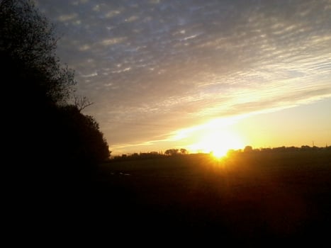 photo Isabelle Bouchex 22 nov 2020