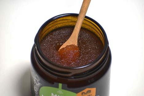 Photo d'une vue de dessus d'un pot de Miel de Manuka de 240g de Nouvelle-Zélande dans le quel se trouve une cuillère en bois, vendu par Puri New Zealand avec un fond blanc