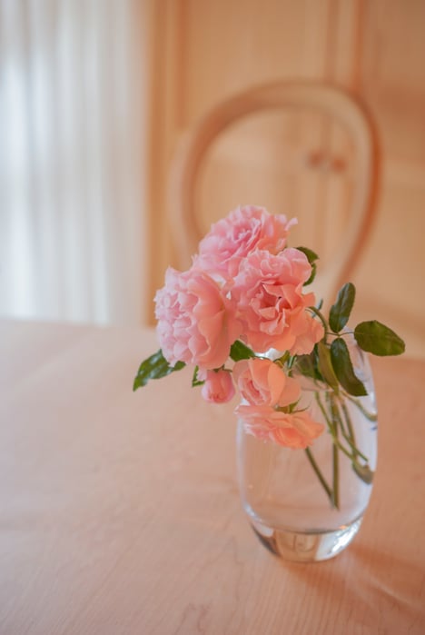 Best roses from my little garden, Fleur*Fleur*