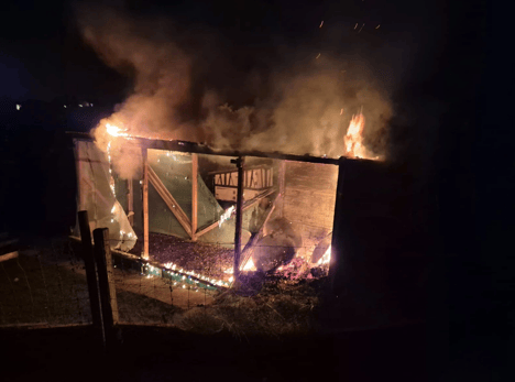 (Bild: feuerwehr-rueti.ch