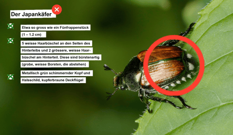 Foto: Bundesamt für Landwirtschaft BLW