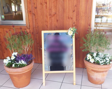 寄せ植え：入口