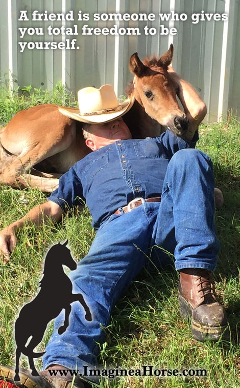 Allen doesn't take rearing this orphaned foal lying down - no, wait, yes he does.