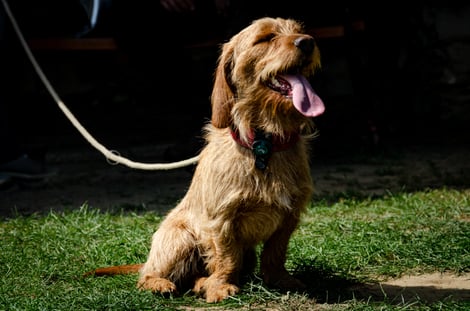 © Philipp Heitzinger Fotografie & Fotodesign