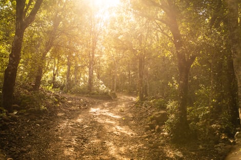 Enduro Tour Sardinien