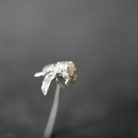 Die Honigbiene übernimmt ein wichtiges Glied im Ökosystem, als besteigen von Blumen Früchten und Gemüse. deshalb Goss Iela Scherrer Bienen in Silber mit der zentrifugalschleuder und präsentierte sie an Ausstellungen in Schaffhausen, und Zürich. Imkerin