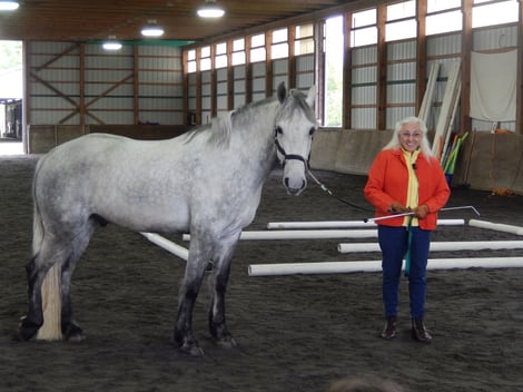 Linda Tellington-Jones TTEAM and TTouch founder with horse