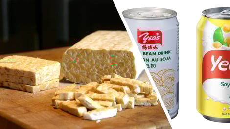 Tempeh - one of the traditional ways for consuming soy in Indonesia vs modern consumption