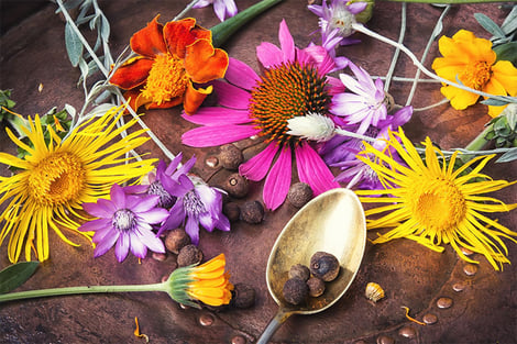 Frauennaturheilkunde in der Praxis Gesundheitsoase Gabi Burki-Rindlisbacher in Buchs bei Aarau