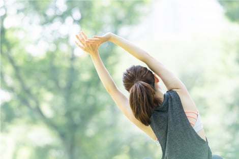 中医学は全体のバランスを整えることを重視します【新潟中医薬研究会】