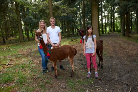 Familie Familienevent Freizeit Kind Kinder Kinderfreizeit Alpakas Alpaka Bommel Quasten Schmuck Peru Chile Trekking wandern Alpakawanderung Spaß Tiere Erlebnis München Muc Munich