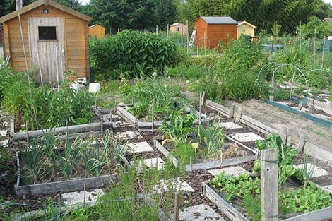 Jardin ouvrier en France