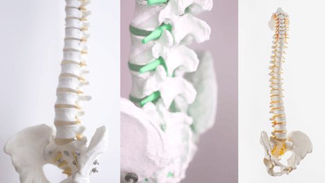 姿勢改善と動作のトレーニング、整体を組み合わせてどこへ行っても良くならなかった腰痛や肩こりを根本治療しましょう。