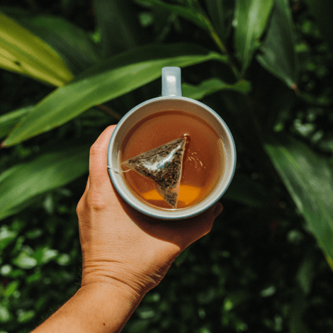 biodegradable tea sachets - Humming Cup Tea