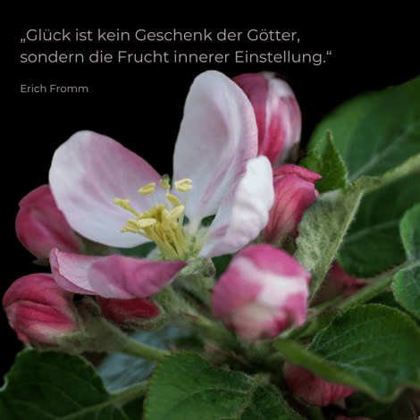 Glück ist kein Geschenk der Götter, sondern die Frucht innerer Einstellung