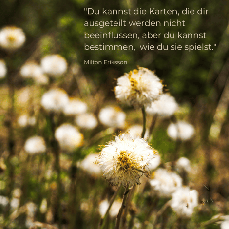 Berufliche Veränderung mit Life-Coaching und Hypnose