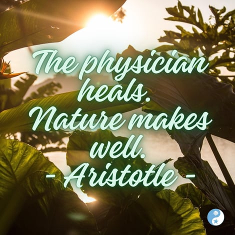 Aristotle quote on the Beachside blog: The physician heals. Nature makes well.