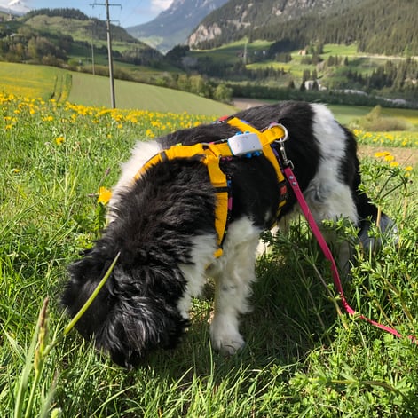 Foto: ©Esther Hufschmid