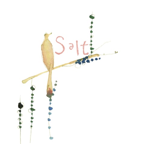 女性の心と身体を温めるsalonsalt