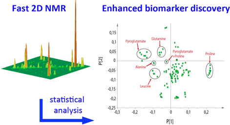 RMN 2D rapide et ultrarapide pour la métabolomique