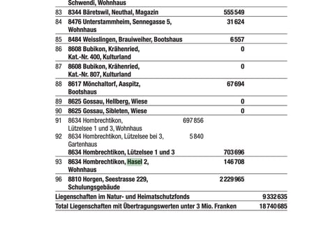 (Screenshot Regierungsratbeschluss vom 17. Juni 2009) 