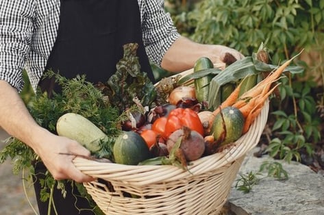 producteur local et légumes bio