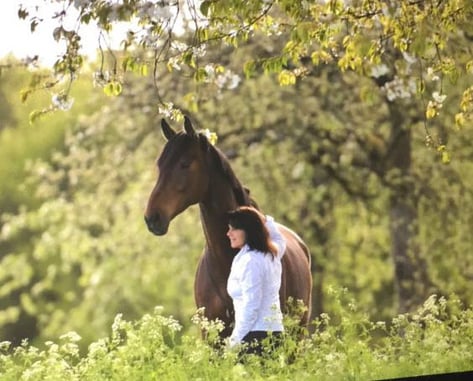 Helga Brummer setz-dich-energy.de Pferde Filzkissen
