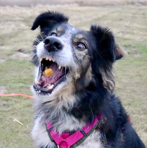 Foto: ©Gerd Schreiber