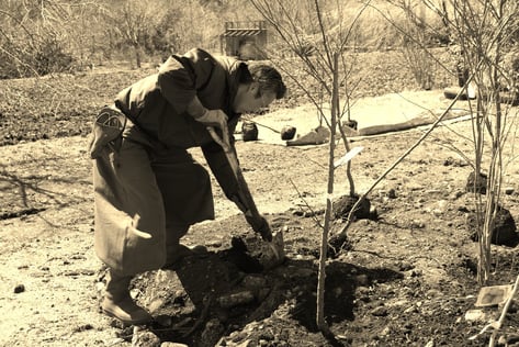 杣人の里挽家　オーナー　田口臣一