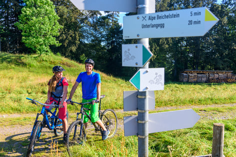 MTB Mountainbike Konzepte Beschilderung Wege Trail Konfliktlösungen
