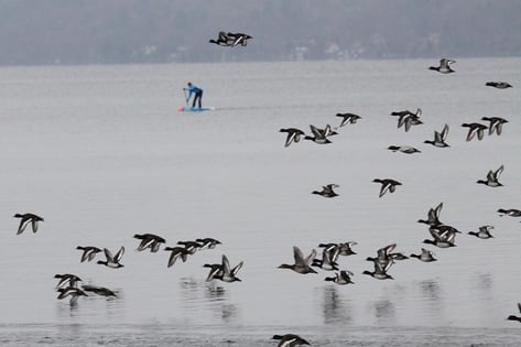Störungen durch Freizeitsportler (Foto: Christian Haass)