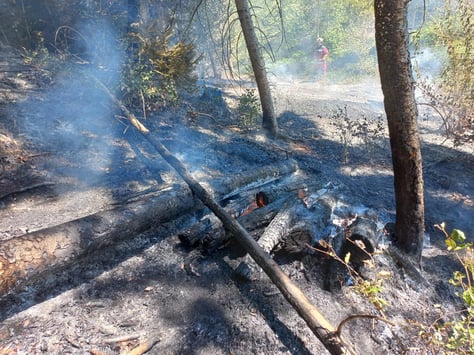 (Bild: Feuerwehr Rüti)