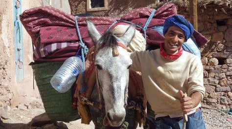 mule et muletier berbere trek maroc