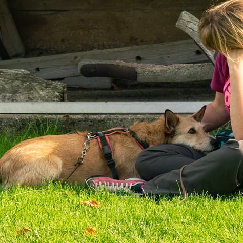 Foto ©Corinne Keller