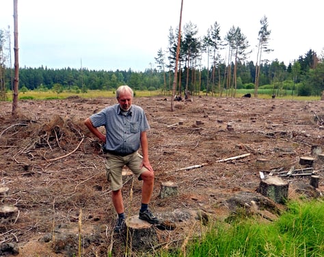 Man sieht einen Mann mit einem Fuß auf einem Baumstumpf. Hinter ihm sind viele Baumstümpfe, eine regelrechte Kahlfläche zu sehen
