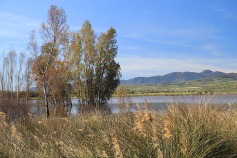 One of the lakes in El Padul