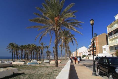 The boulevard of Torrenueva