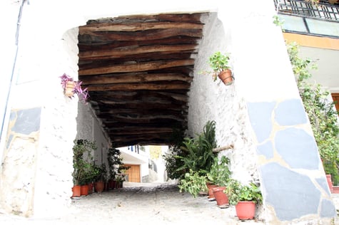 A "tinao" in Bérchules