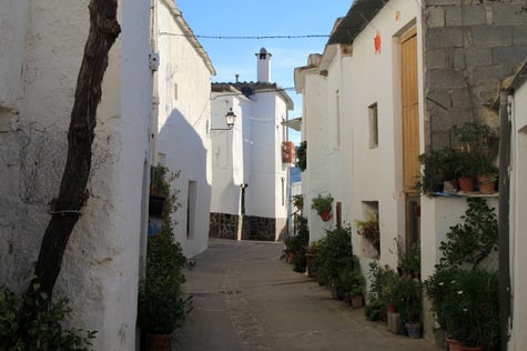 A street in Lobras
