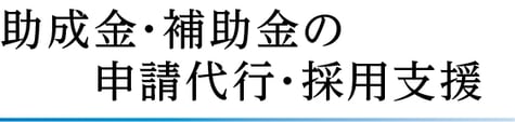 アンカー社会保険労務士事務所　補助金　助成金　申請代行